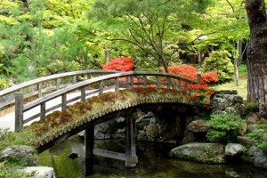 Japanese Scenery with bridge symbolizing Ki Concept
